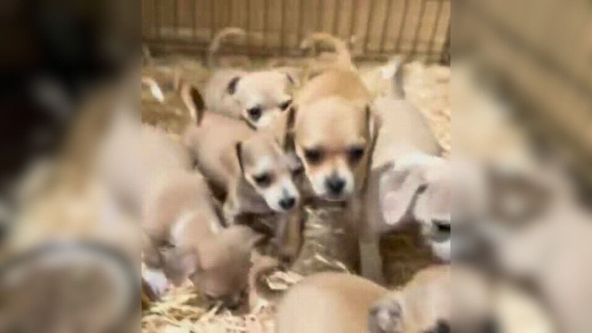 Despite this heartbreaking situation, Mi...