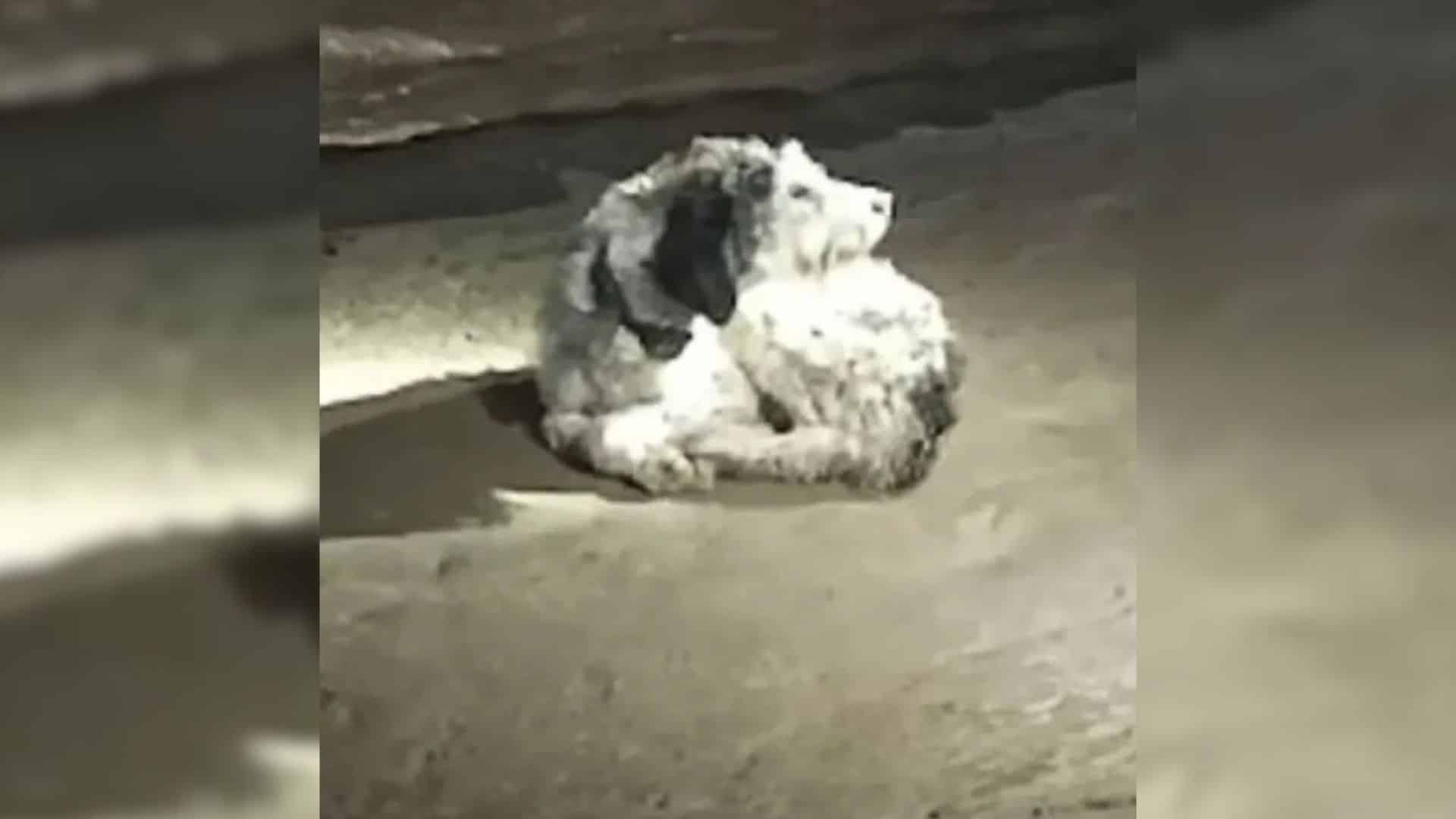 But sometimes, when all seems lost, life...