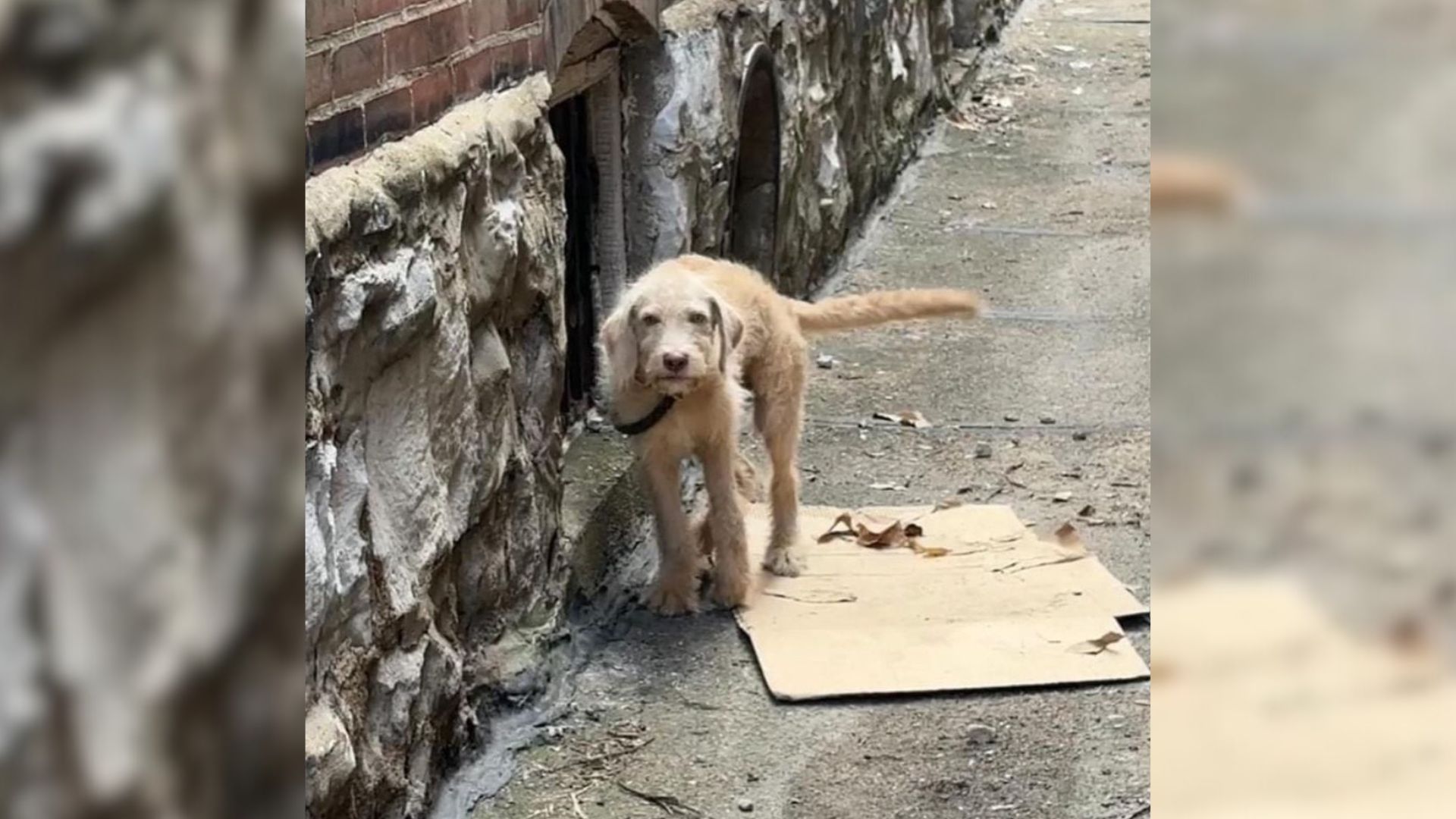 However, there are compassionate individ...