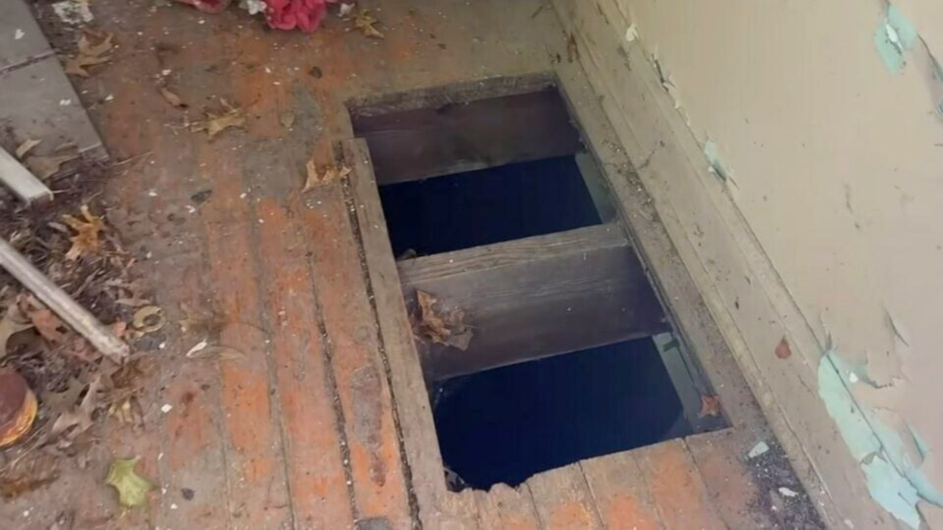 It's heartbreaking to imagine a single d...