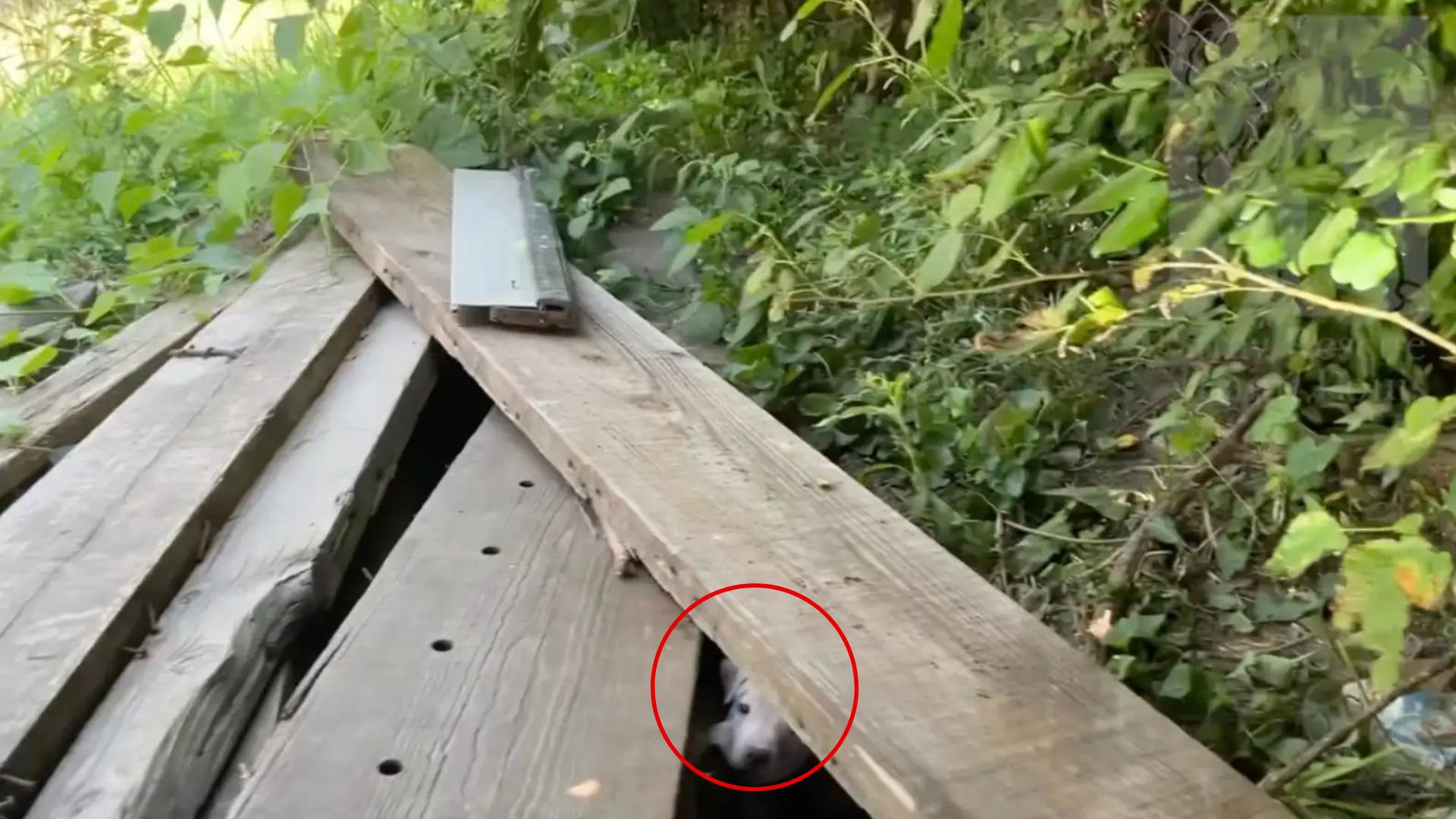 Donna Lochmann, responding to a report o...