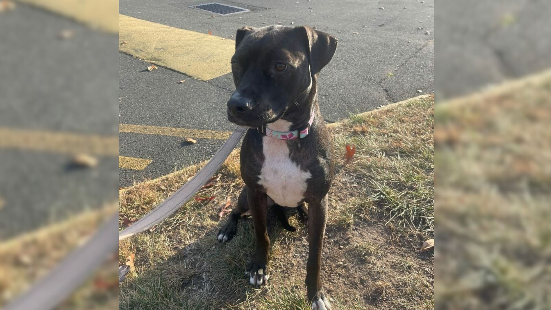 Sadly, this trend is all too familiar. N...