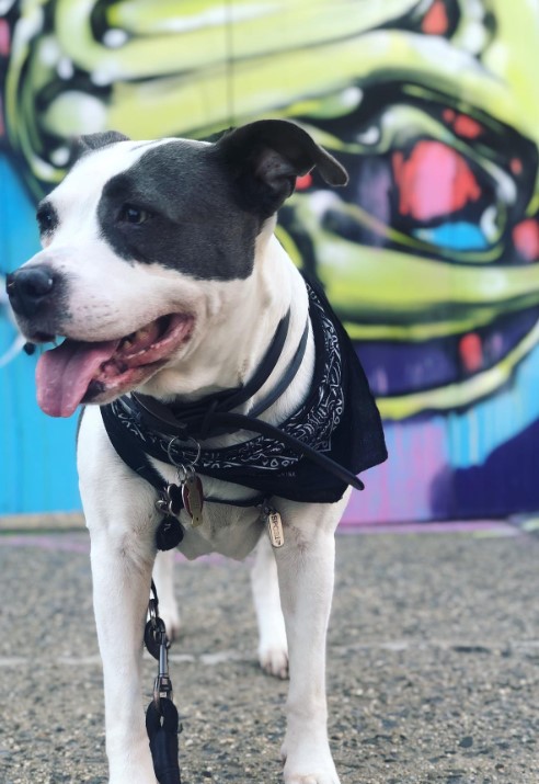 Extra image from article