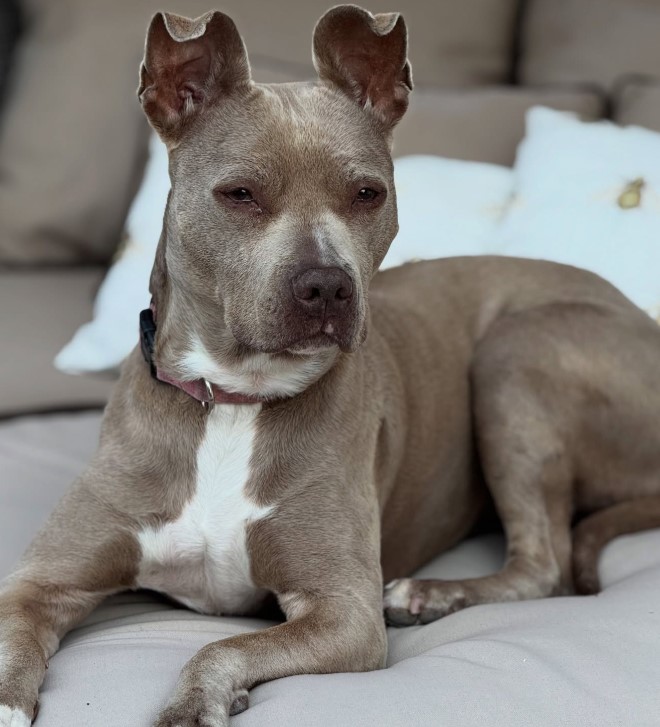 Extra image from article