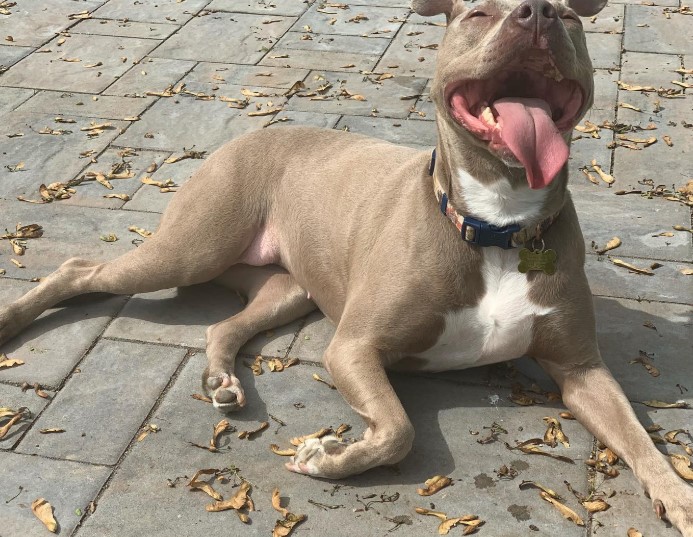 For Llana, everyday activities—from play...