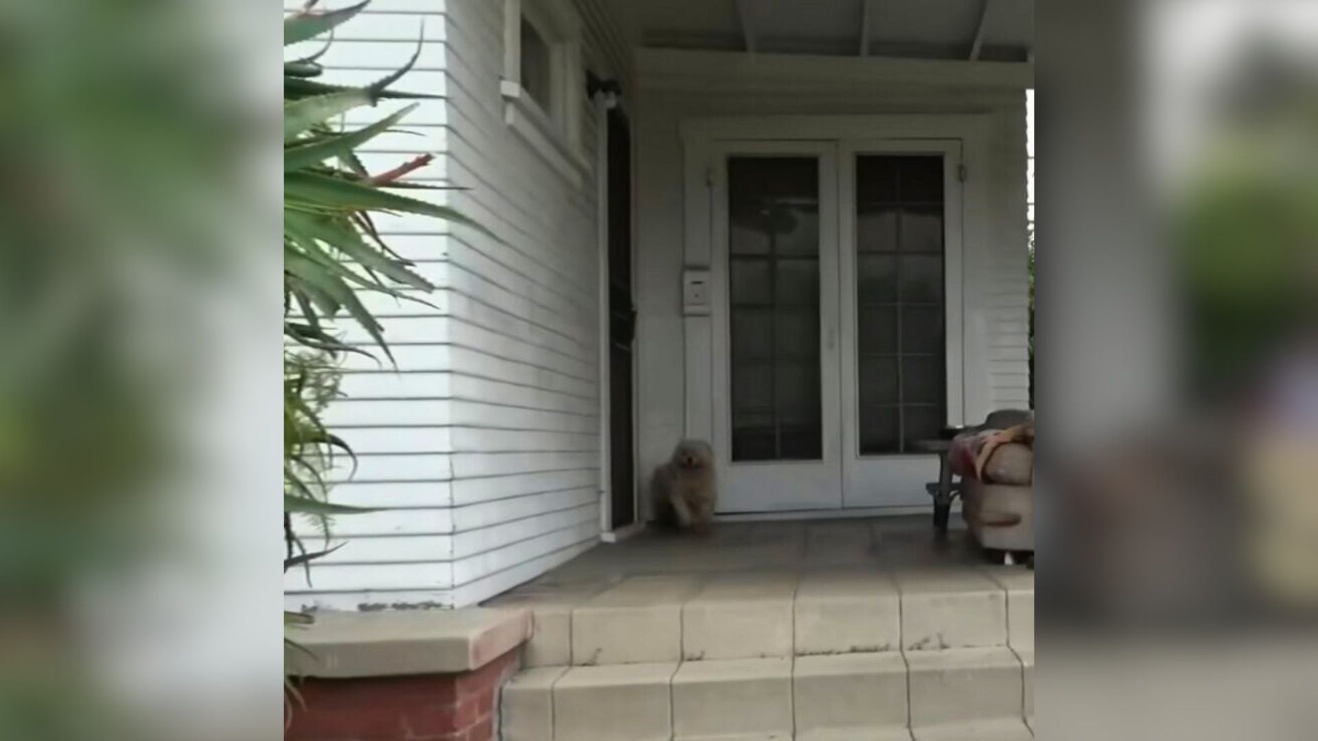 Recently, when they were alerted to a st...