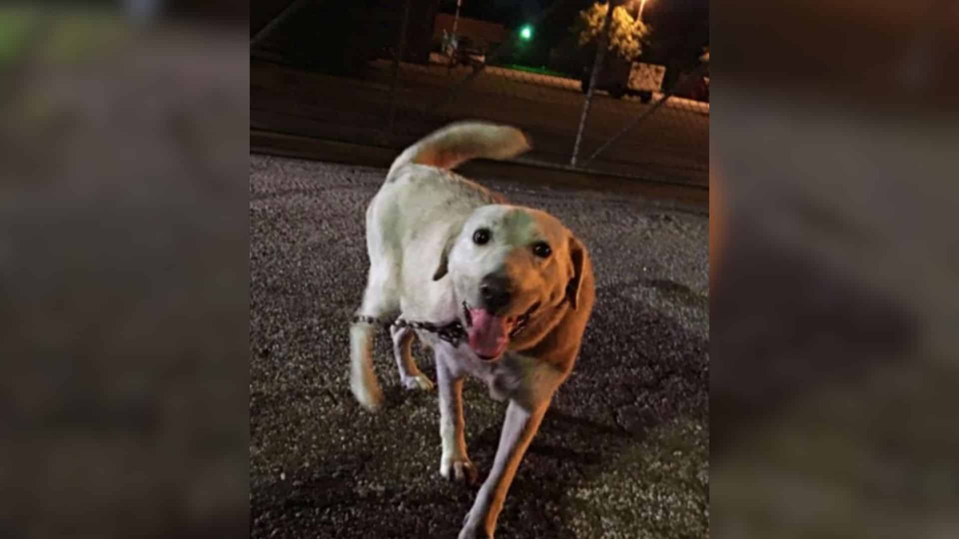 A recent visit by a KHOU 11 News crew to...