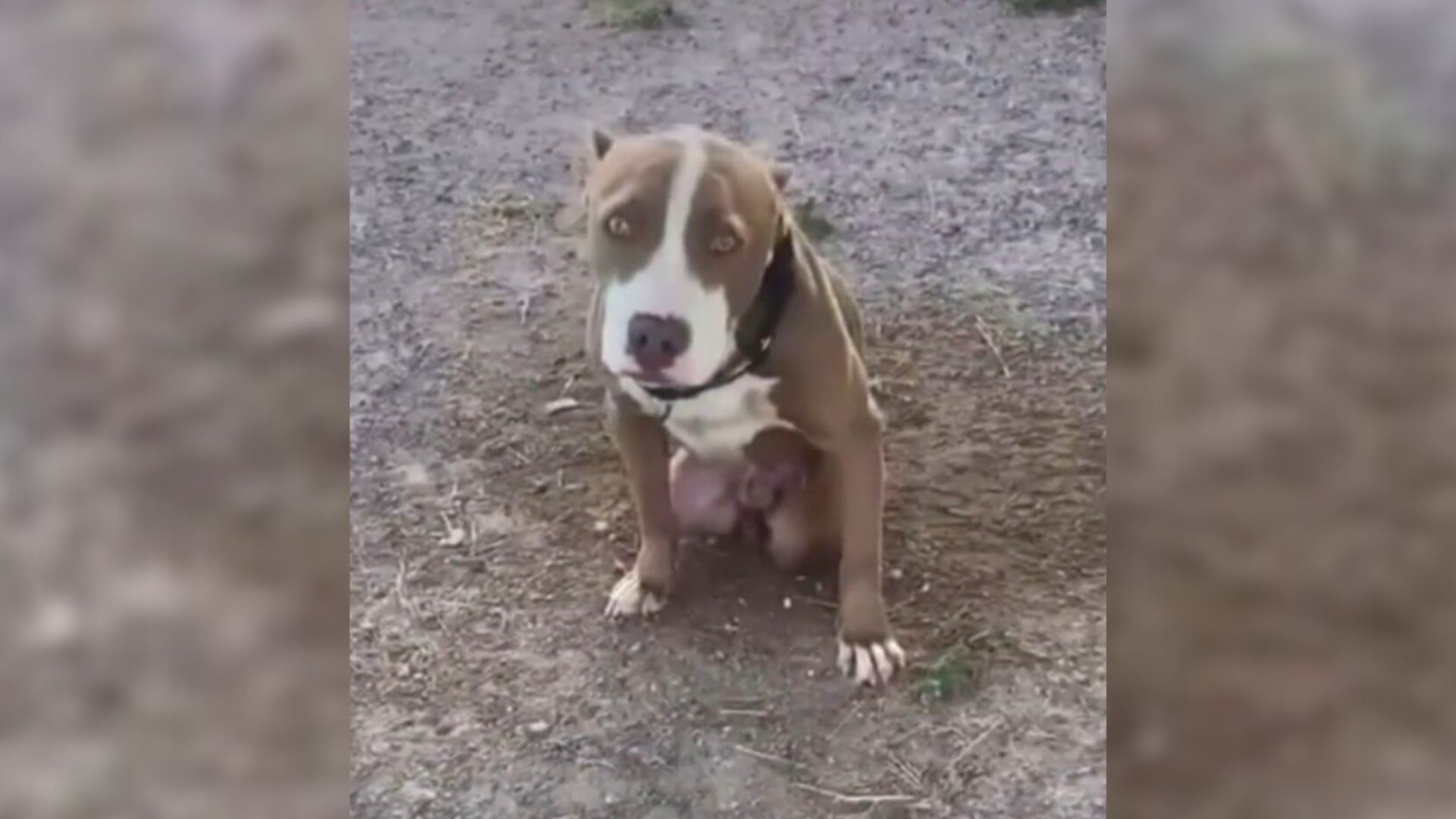 Trapped in his harsh reality, Homelander...