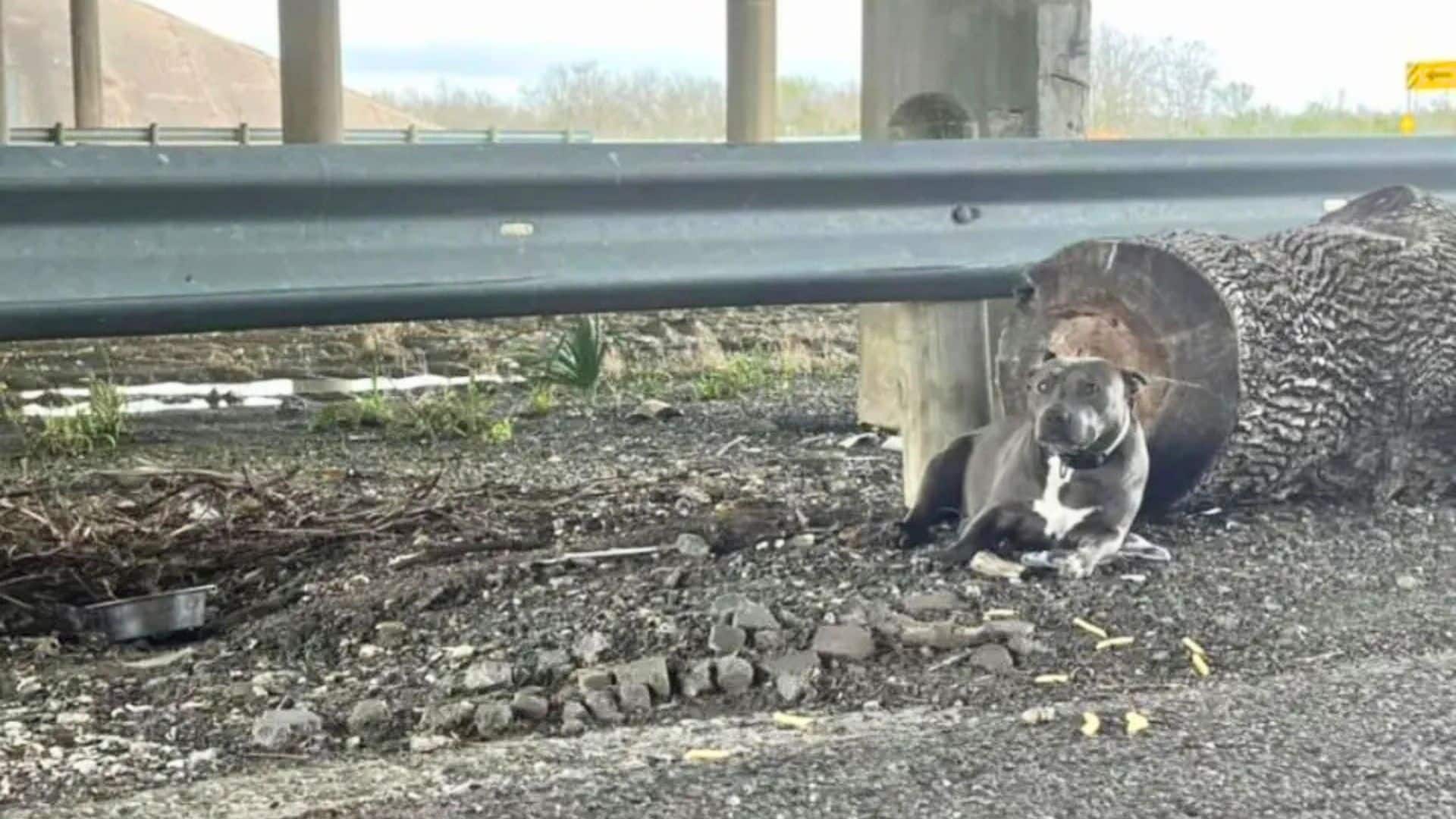 Navigating through language barriers and...