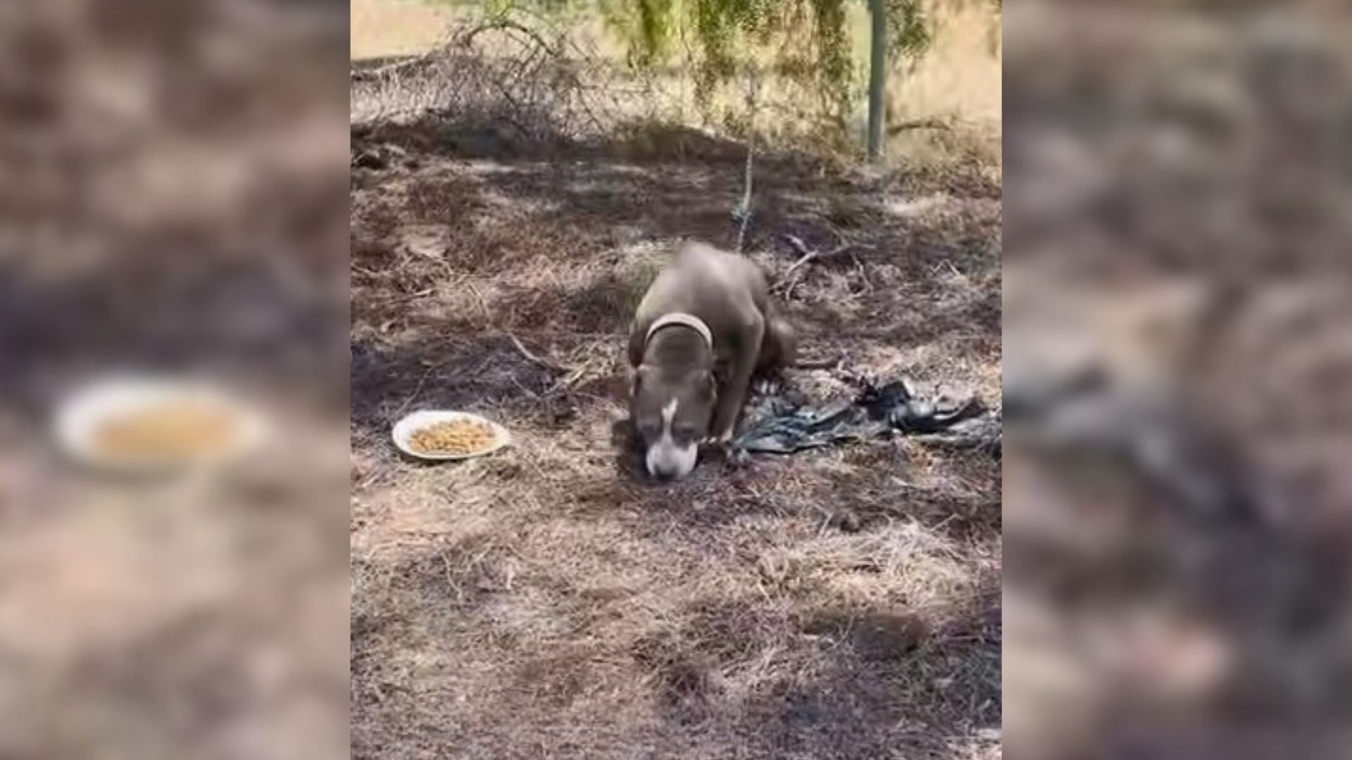 Maya's life took a turn one fateful day ...