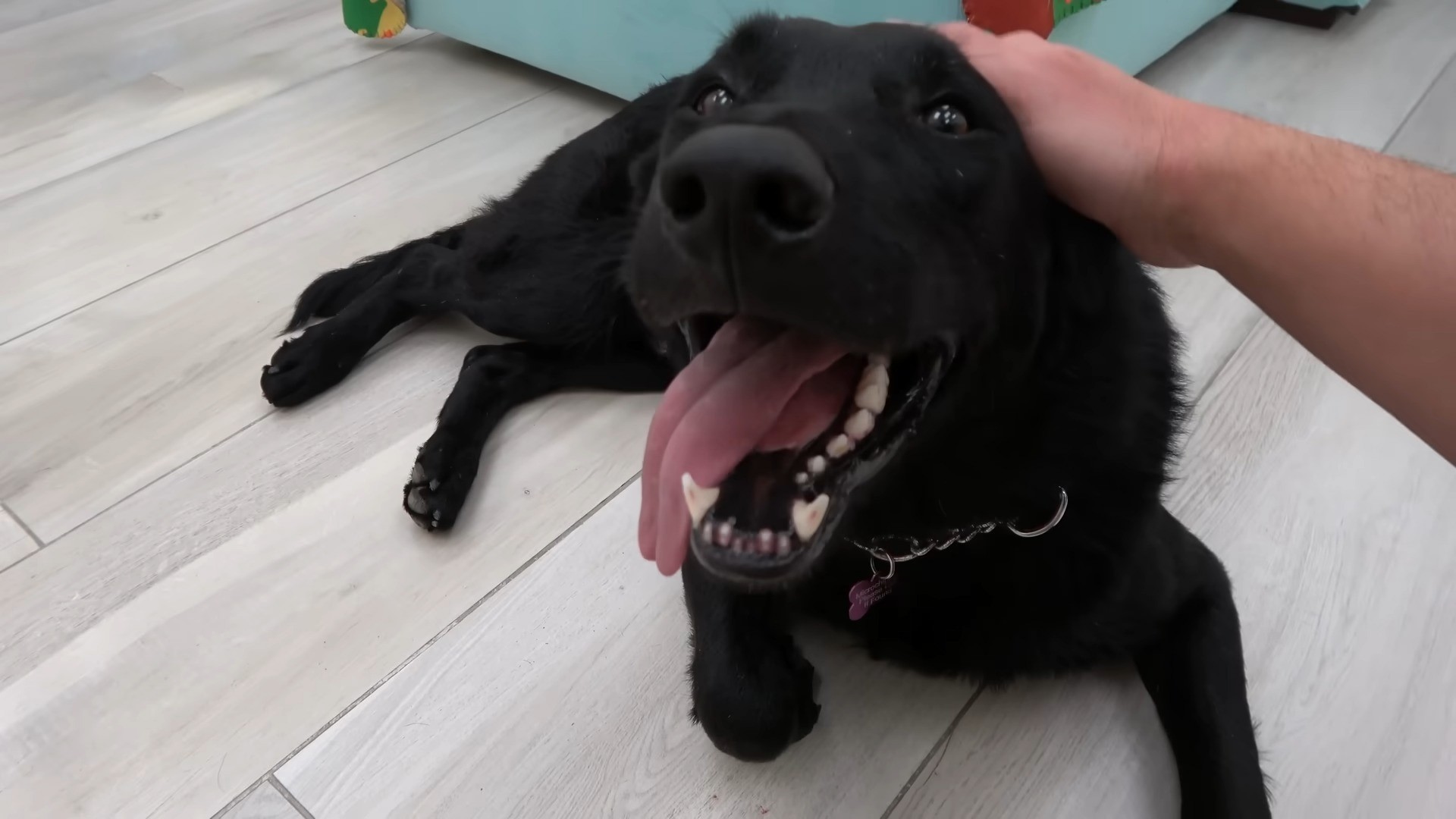 Extra image from article