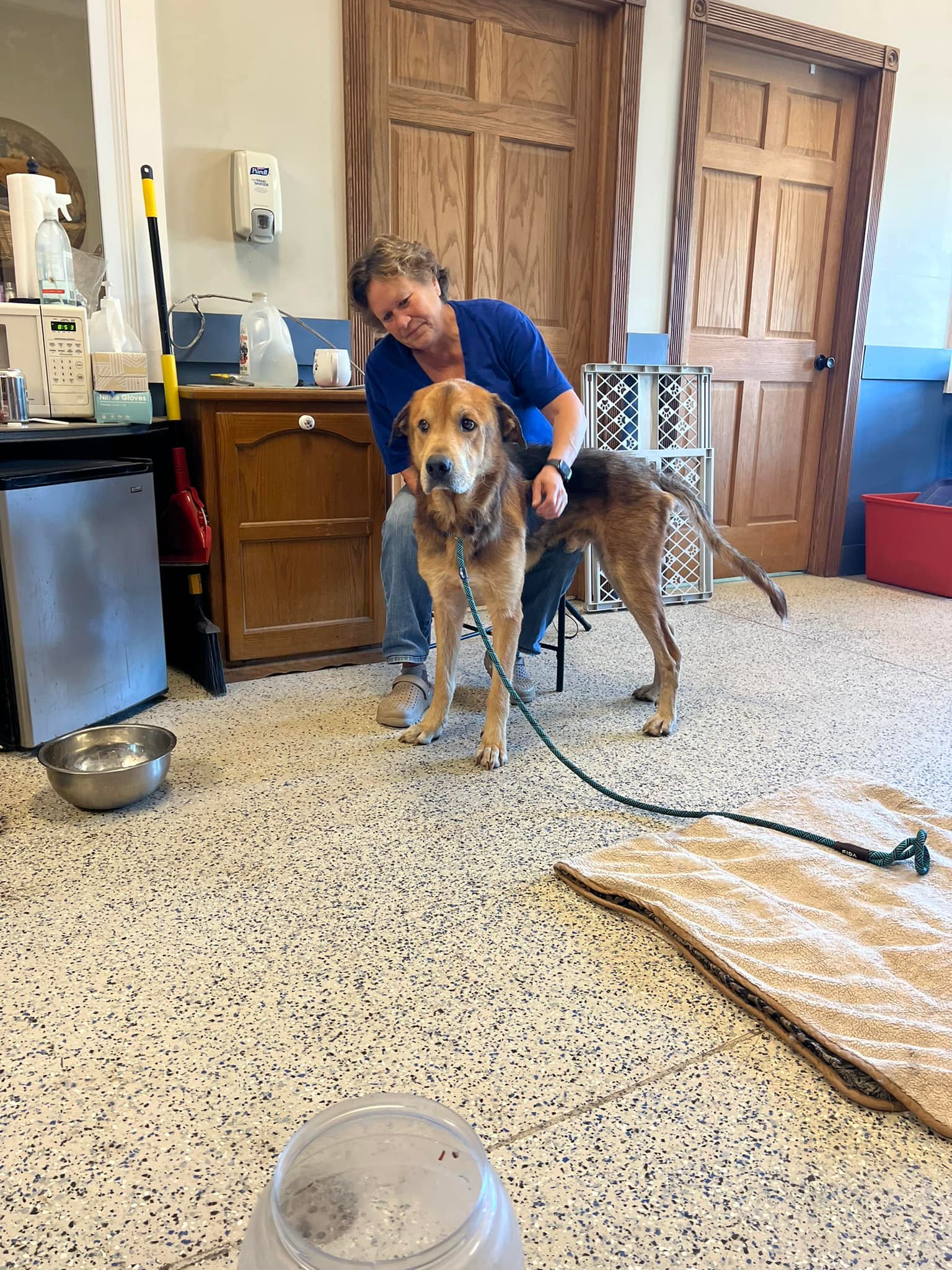 Extra image from article