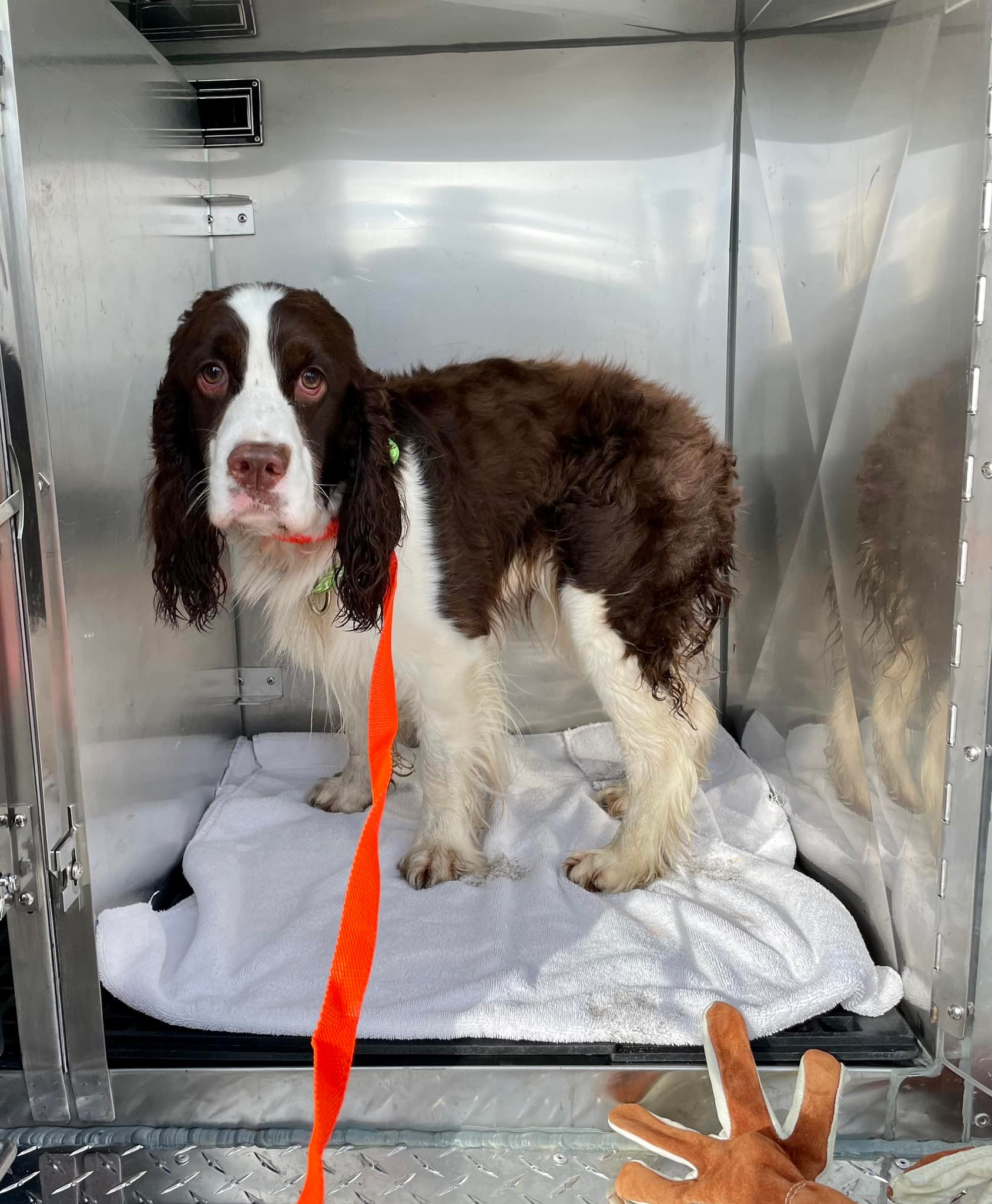 Once back at home, Gwen was safe, embrac...