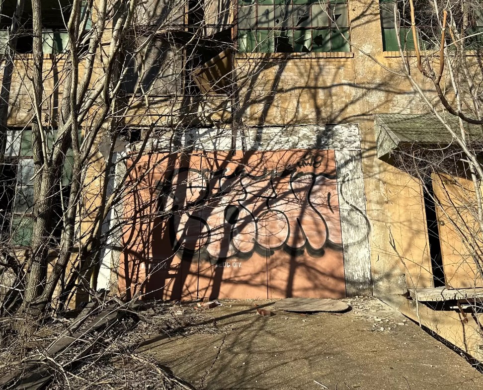 Despite acknowledging the sight, they de...