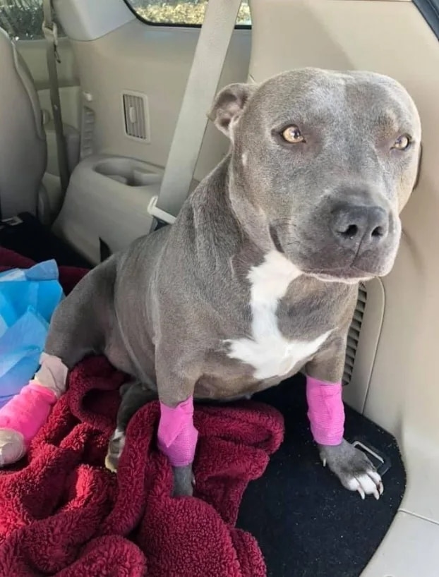 Extra image from article