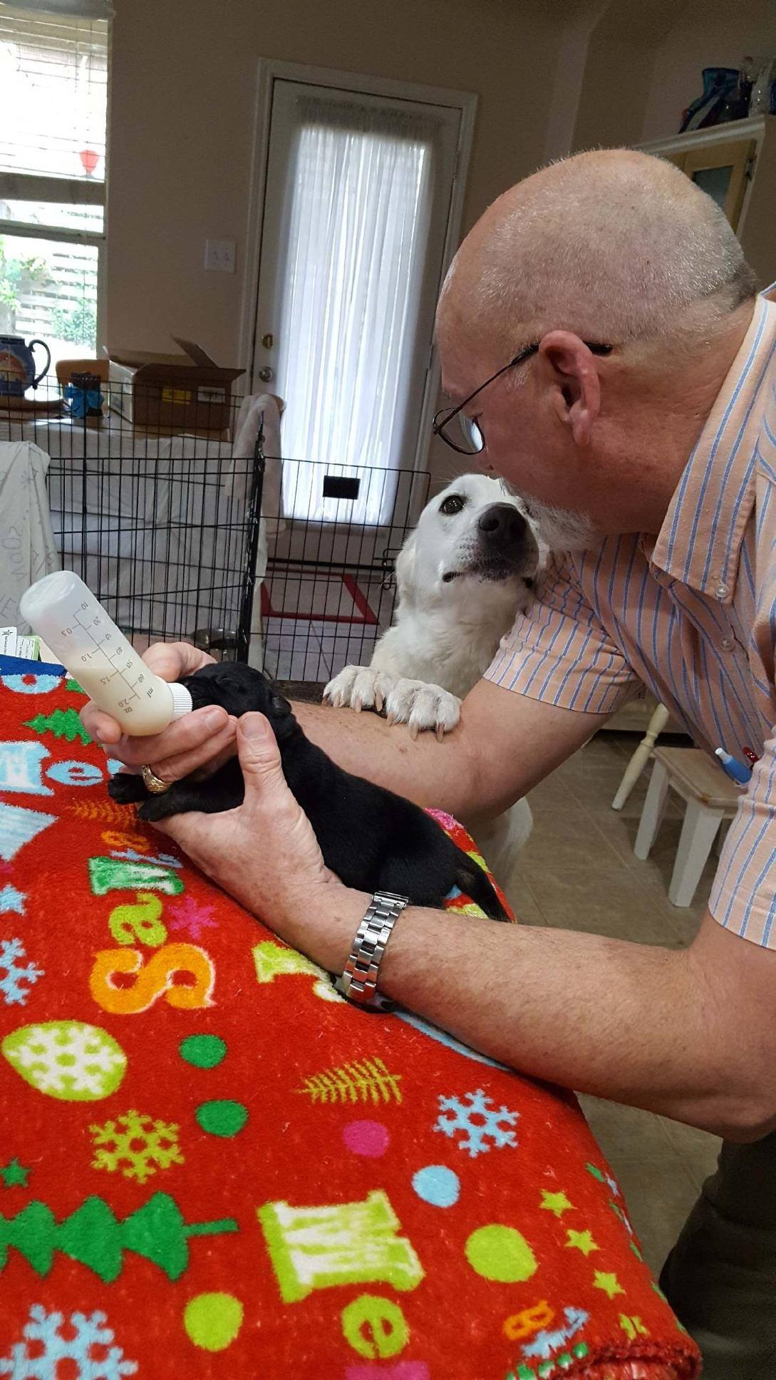 Just before the two-week mark, White not...