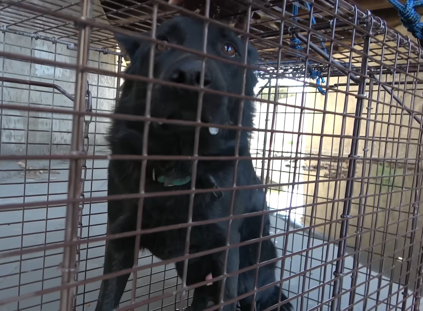 Extra image from article