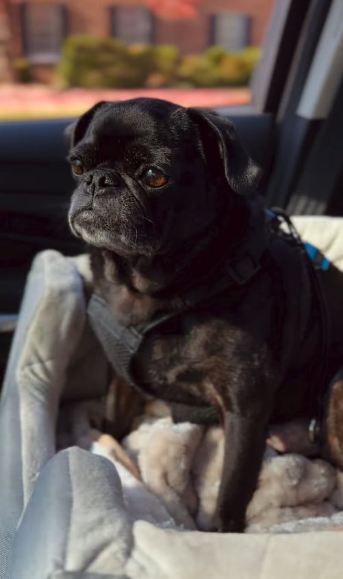 Extra image from article