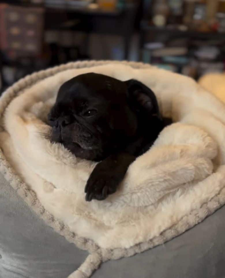 Extra image from article