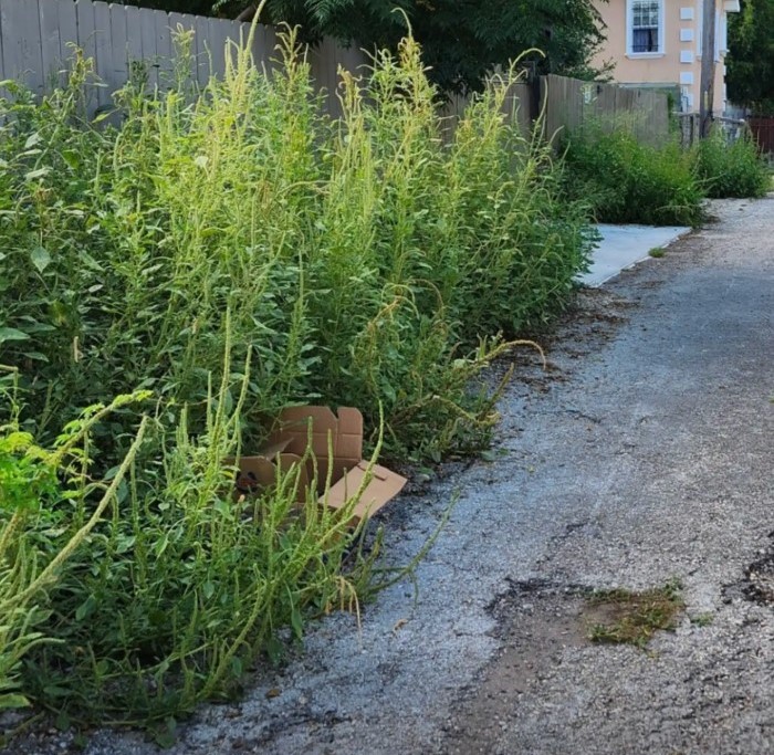 Under careful watch and with continued l...