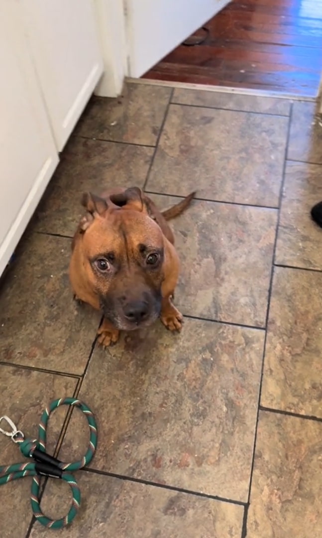 Extra image from article