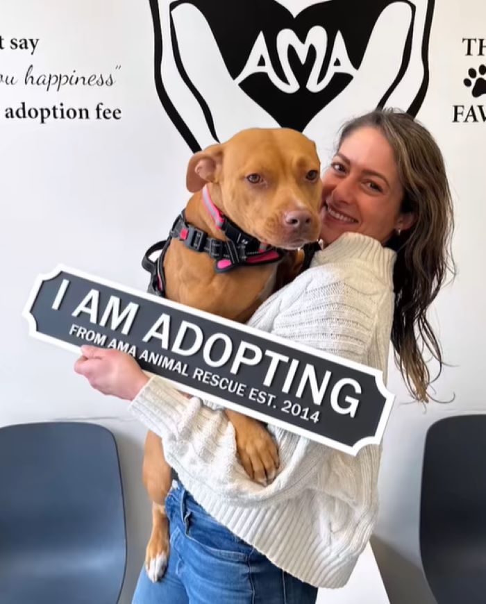 Extra image from article