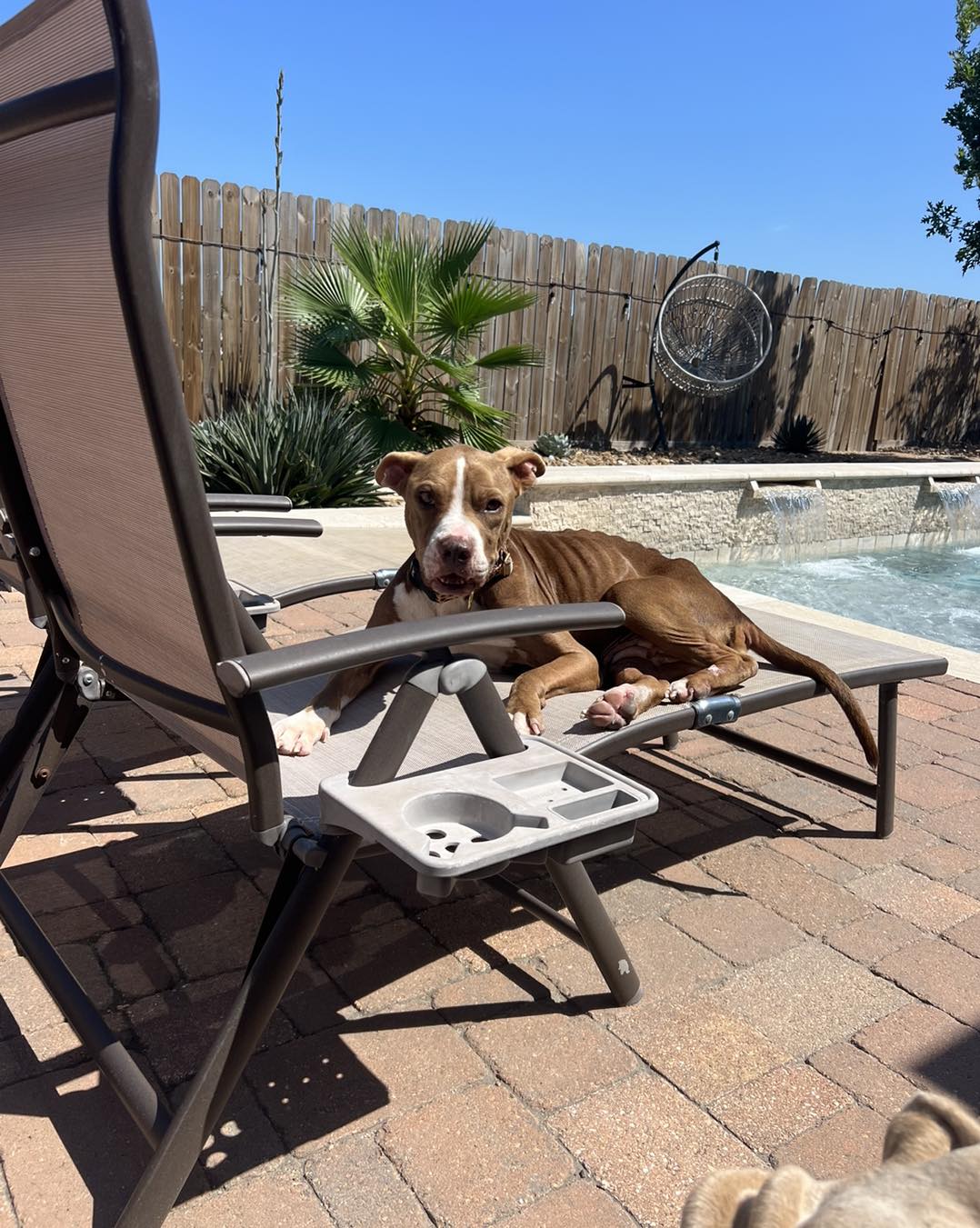 Extra image from article