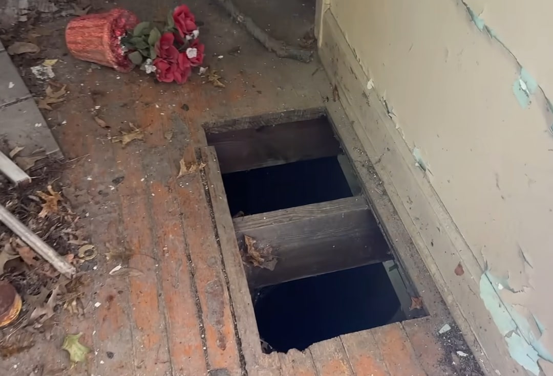 With the puppies secured, the team focus...