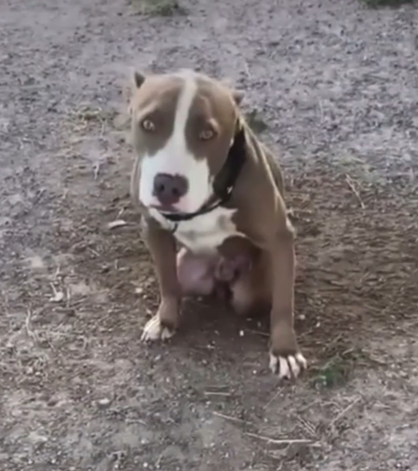 With daily efforts and unwavering suppor...