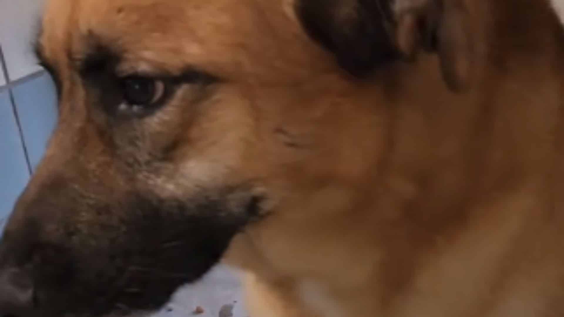 Carlton's story highlights the profound ...