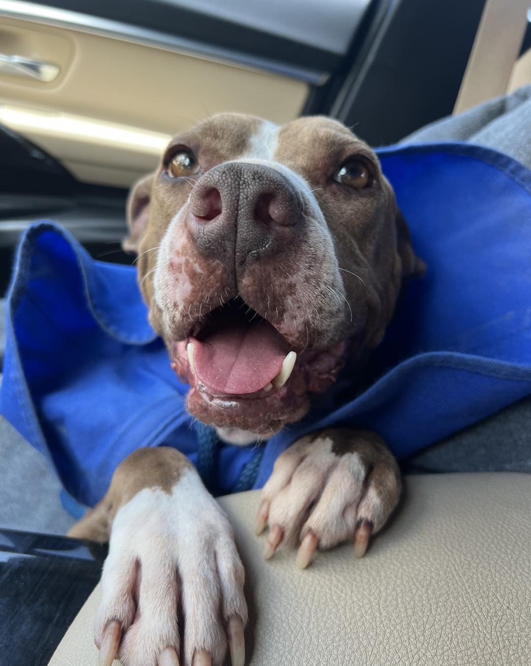 Extra image from article