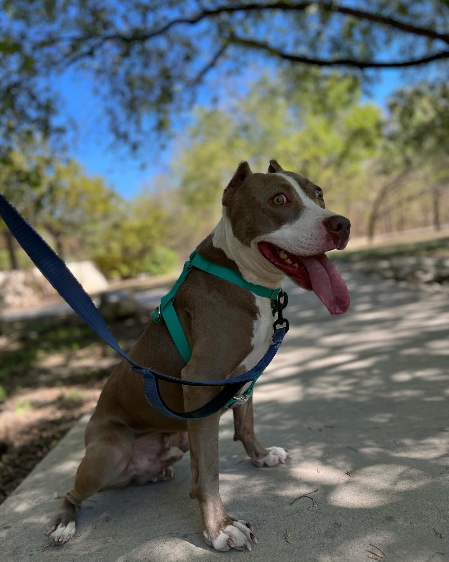 Extra image from article