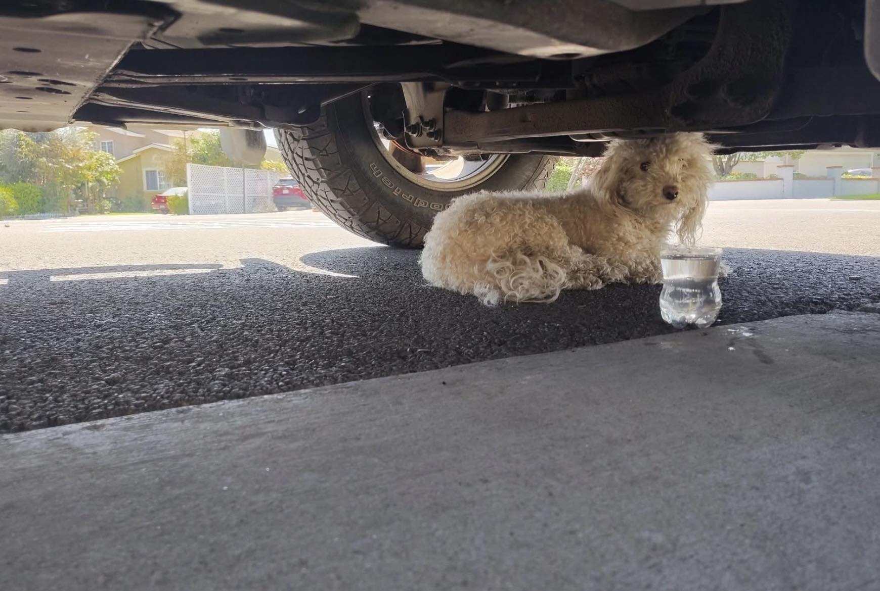 After about half an hour, when Hall chec...