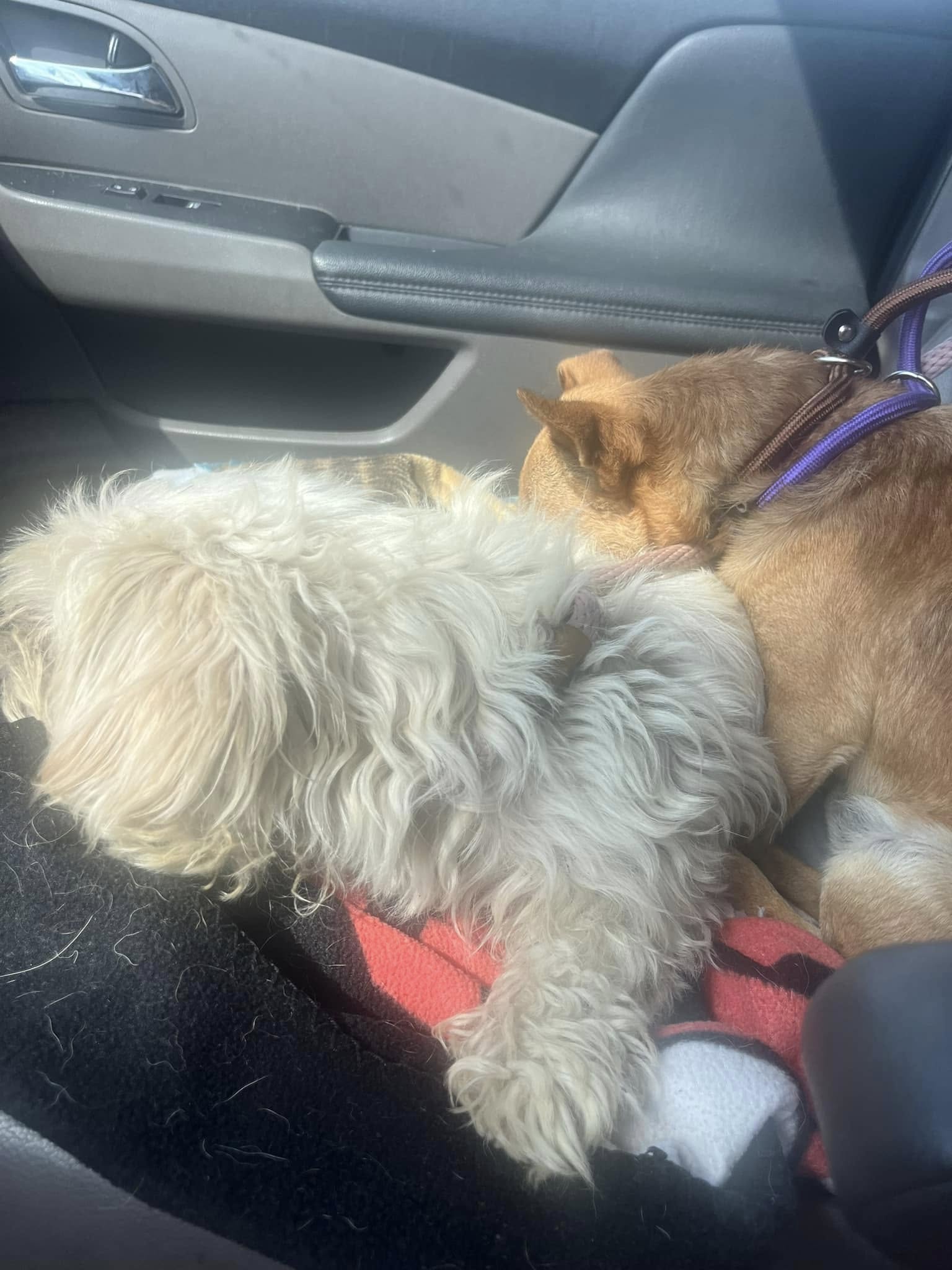 Extra image from article