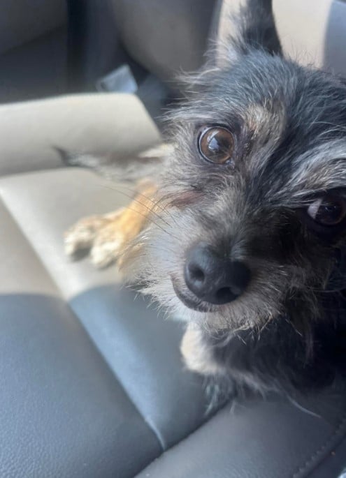 A heartfelt thank you goes to Suzette Ha...