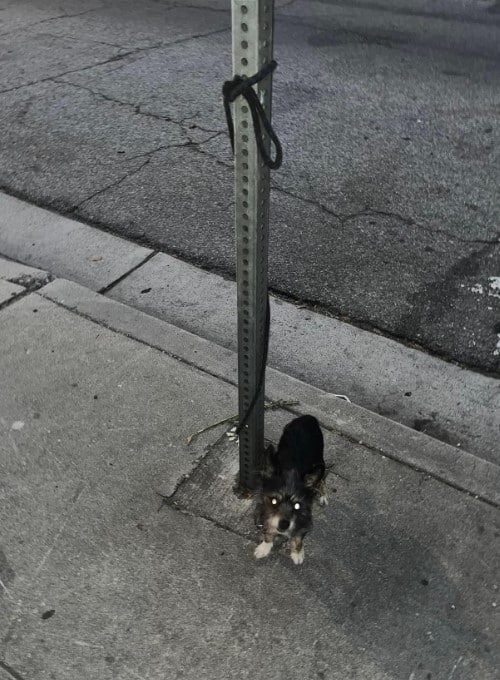 Even in the front seat of Hall's car, th...