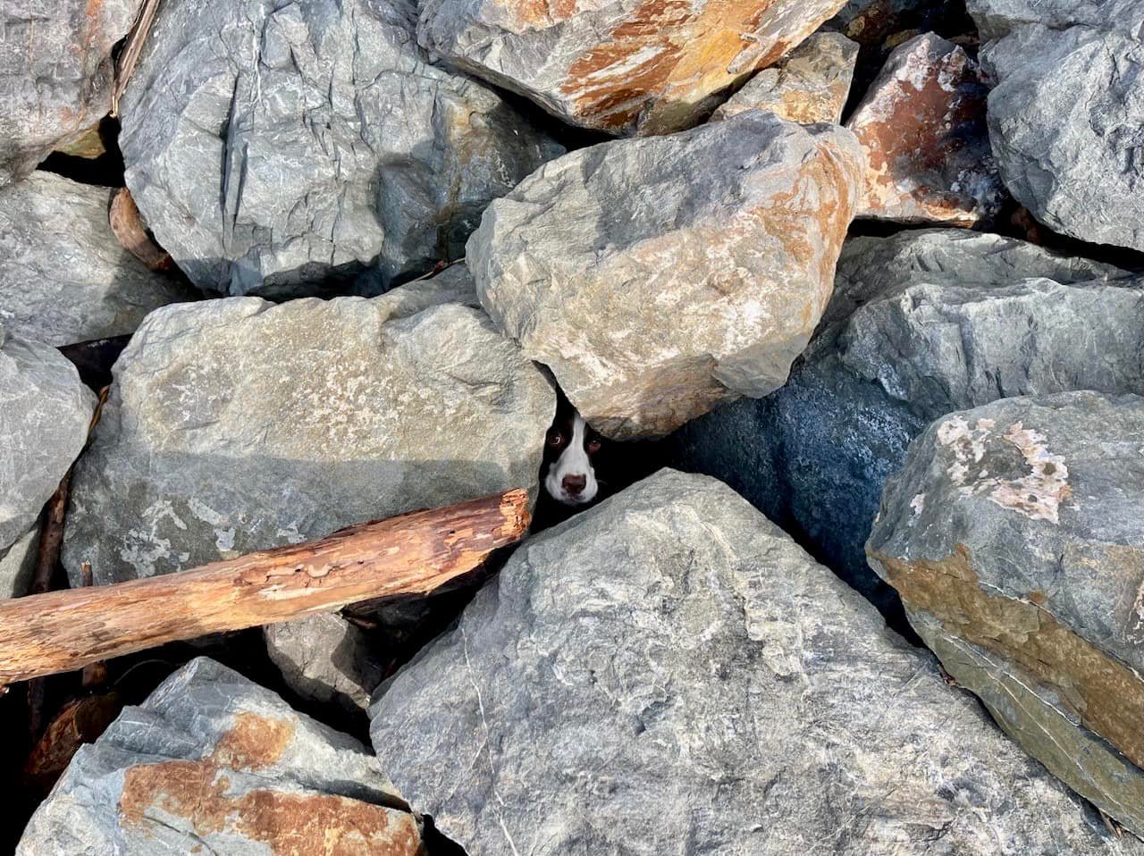 Reflecting on the fortunate circumstance...