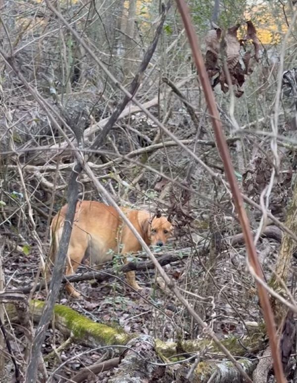 Determined not to give up, Audray patien...