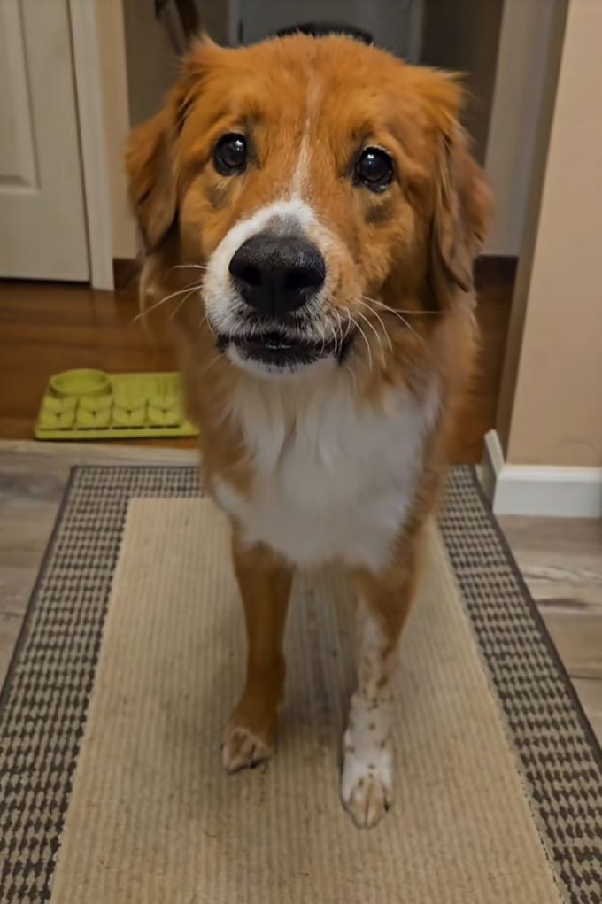 Extra image from article