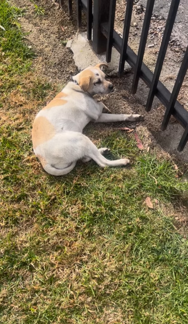 Extra image from article