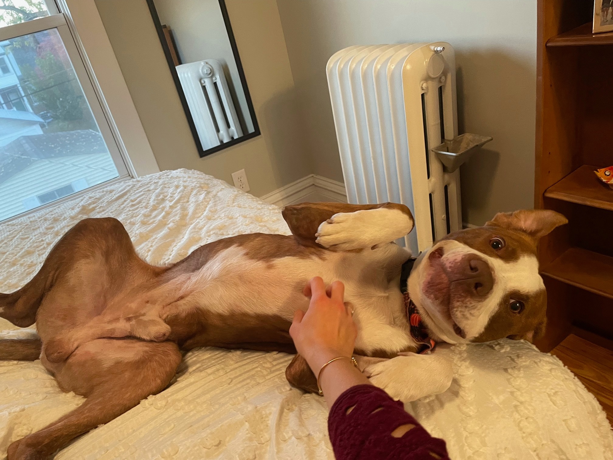 Extra image from article