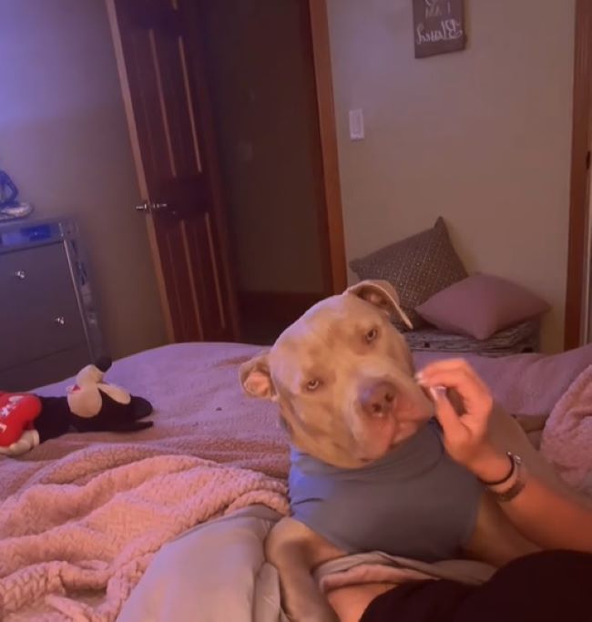 Extra image from article