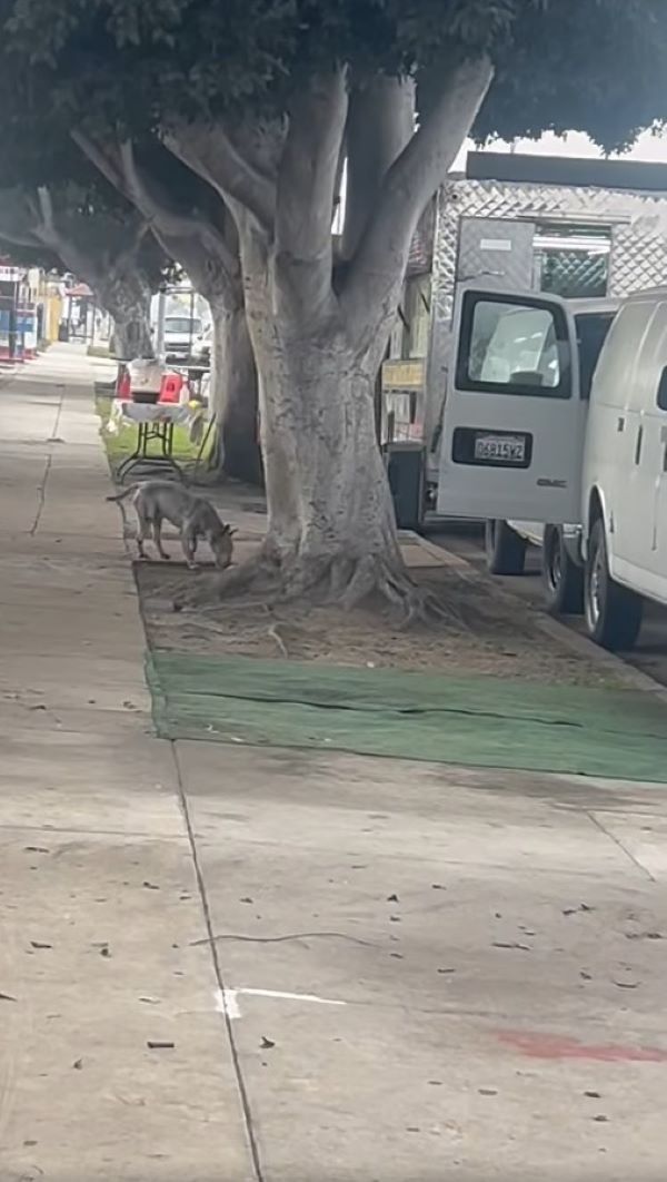 That stretch of road became Maxwell’s en...