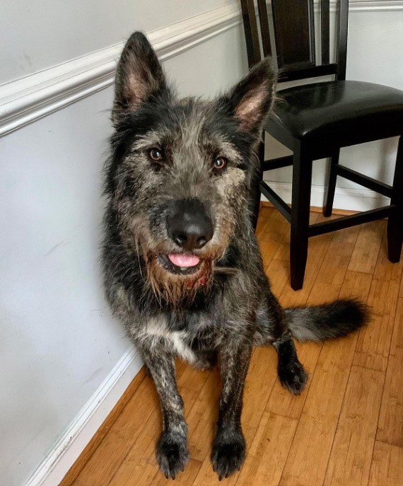 Extra image from article