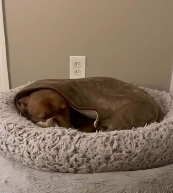 Gradually, Ed's apprehension was replace...