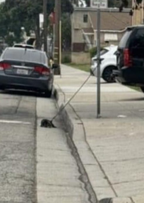 Just when it seemed all hope was lost, a...