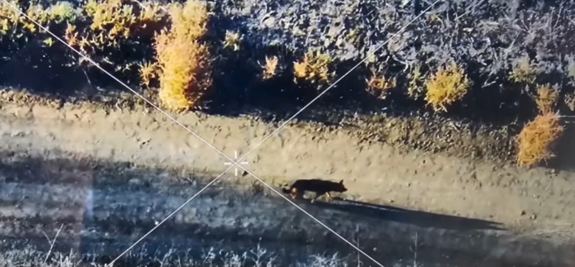 The emotional reunion that followed was ...