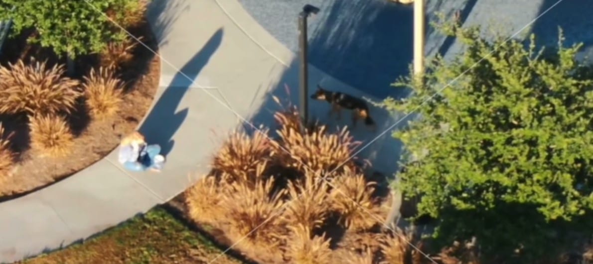 Extra image from article