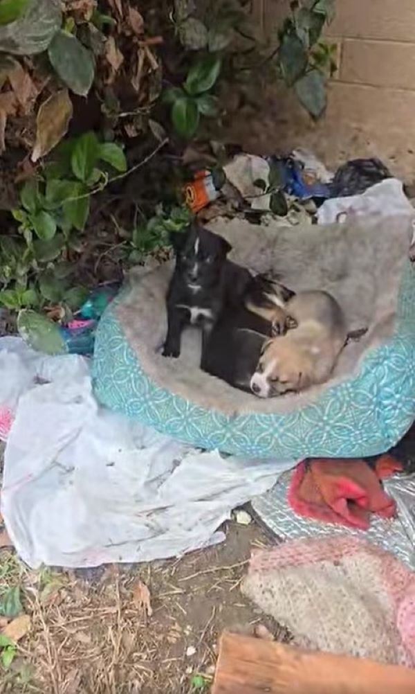 Soon after, a compassionate woman named ...