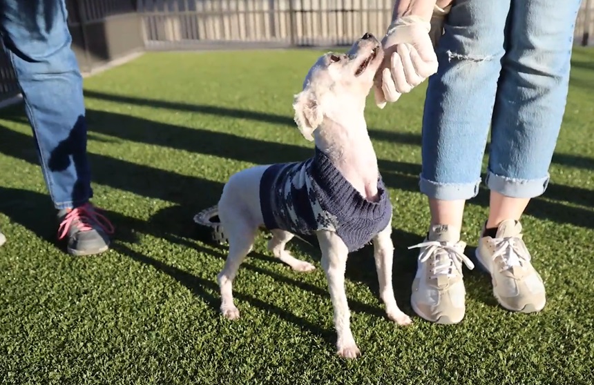 Extra image from article